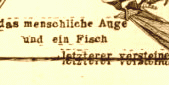 Initiativenlogo