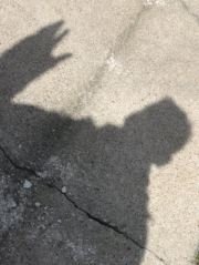 Profil-Bild