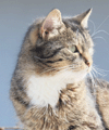 Profil-Bild